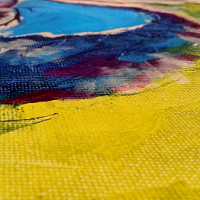 Detail_4 | Ara ararauna