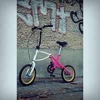 Bicykel Mravec
