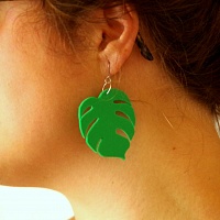 Monstera