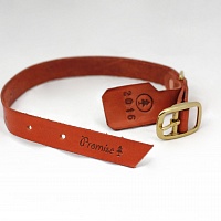 Obojek pro psy - Small dog