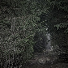 Les 2