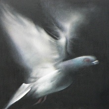 Alexandra Jiříčková