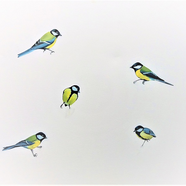 Titmice | Veronika Kubátová
