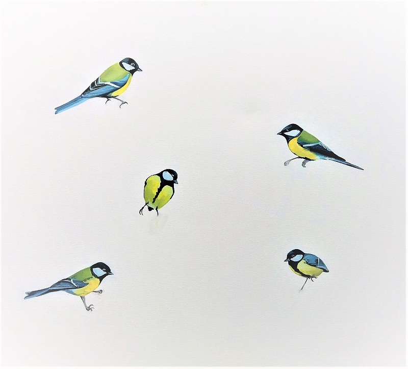 Titmice